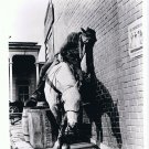 Lee Marvin Press Photo 8x10 Cat Ballou