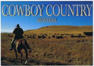 Montana Postcard Cowboy Country Bringing The Herd In