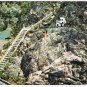 Italy Postcard Snow White & Dwarfs Rock Da Pippo Cella Piccolo Hotel