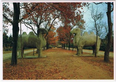 Postcard Stone Beasts On The Road To Xiaoling China