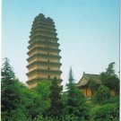 Postcard Xiaoyan Pagoda Small Wild Goose China