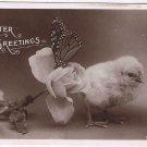 Easter Postcard Greetings Chick Butterfly Rose Rotary Photo