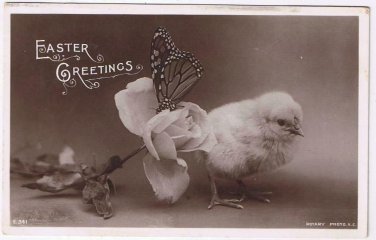 Easter Postcard Greetings Chick Butterfly Rose Rotary Photo