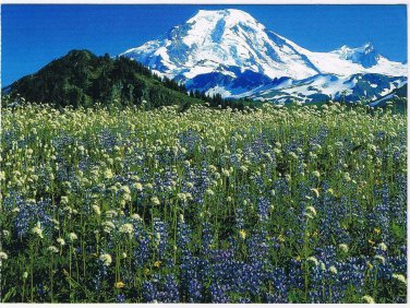 Washington Postcard Mount Baker Wilderness Area