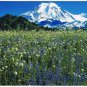 Washington Postcard Mount Baker Wilderness Area