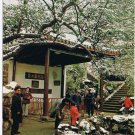 Postcard Snow Scene Erquan Pool Second Best Spring Water China
