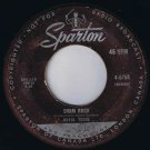Royal Teens Sham Rock 45 rpm Big Name Button Canadian Pressing