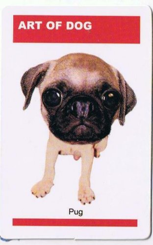 Trade Card Dog Calendar Card 2003 The Art Of Dog Pug
