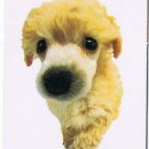 Trade Card Dog Calendar Card 2003 The Dog Poodle