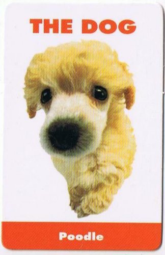 Trade Card Dog Calendar Card 2003 The Dog Poodle