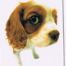 Trade Card Dog Calendar Card 2003 The Dog Cavalier King Charles Spaniel