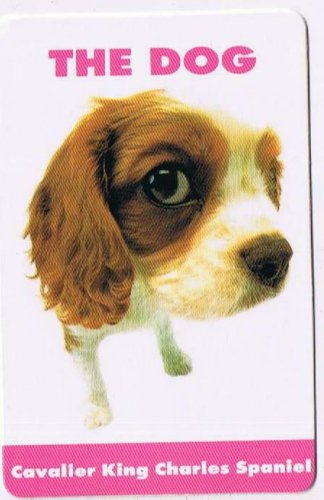Trade Card Dog Calendar Card 2003 The Dog Cavalier King Charles Spaniel