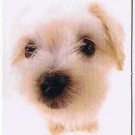 Trade Card Dog Calendar Card 2003 The Dog Maltese