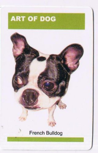Trade Card Dog Calendar Card 2003 The Art Of Dog French Bulldog