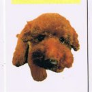 Trade Card Dog Calendar Card 2003 The Art Of Dog Toy Poodle