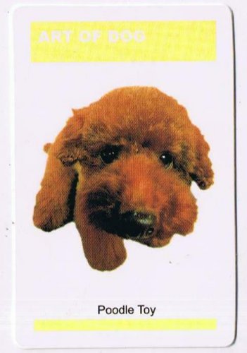 Trade Card Dog Calendar Card 2003 The Art Of Dog Toy Poodle
