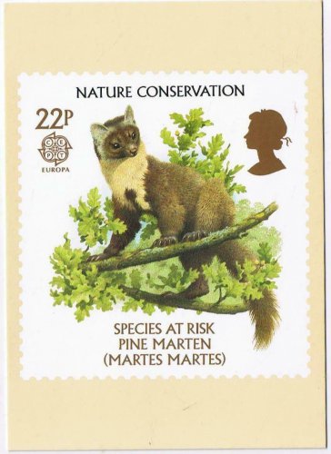 United Kingdom Postcard Stamps Nature Species At Risk 1986 22p Pine Marten