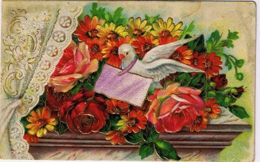 Greeting Postcard Embossed Dove With Message Roses Curtain Made Germany
