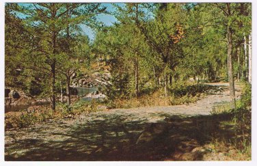Ontario Postcard Woodland Pond Trees Trail