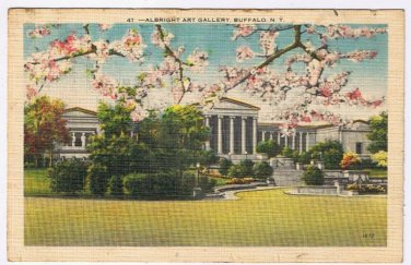Postcard Albright Art Gallery Buffalo New York