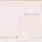 Postcard Albright Art Gallery Buffalo New York