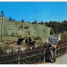 Manitoba Postcard Winnipeg Assiniboine Park Bear Cages