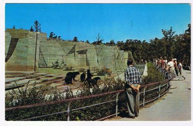 Manitoba Postcard Winnipeg Assiniboine Park Bear Cages