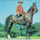 Alberta Postcard RCMP Royal Canadian Mounted Police Mountie Greetings