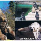 British Columbia BC Postcard Vancouver Stanley Park Multi View