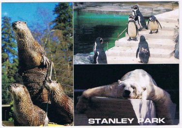 British Columbia BC Postcard Vancouver Stanley Park Multi View
