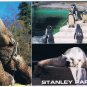 British Columbia BC Postcard Vancouver Stanley Park Multi View
