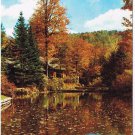 New York Postcard Hancock New York State Conservations School