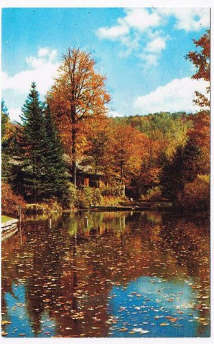 New York Postcard Hancock New York State Conservations School