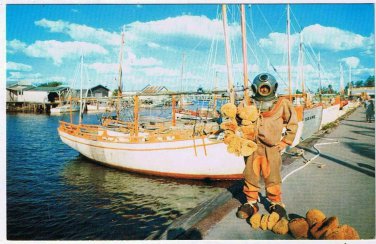 Florida Postcard Tarpon Springs Sponge Diver & Sponge Boats