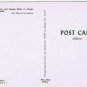 Florida Postcard Tarpon Springs Sponge Diver & Sponge Boats