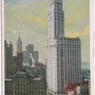 New York Postcard NYC Woolworth Building 1914