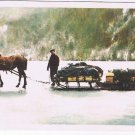 British Columbia BC Postcard Seymour Arm Postal Route Winter 1928