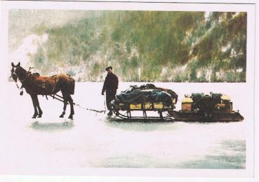 British Columbia BC Postcard Seymour Arm Postal Route Winter 1928
