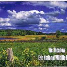 Pennsylvania Postcard Erie National Wildlife Refuge Crawford County Wet Meadow