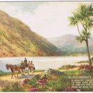 Ireland Postcard Killarney Lakes Irish Jaunting Car
