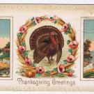 Easter Postcard Embossed Turkey Wreath Of Poppies Country Scenes 1916