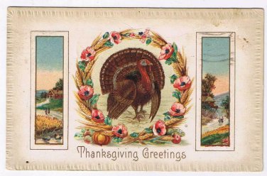 Easter Postcard Embossed Turkey Wreath Of Poppies Country Scenes 1916