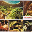Manitoba Postcard Winnipeg Assiniboine Park Tropical House