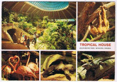 Manitoba Postcard Winnipeg Assiniboine Park Tropical House
