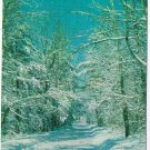 New Jersey Postcard Lakewood Snowfall On Country Road