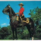 Canada Postcard RCMP Royal Canadian Mounted Police On Horse Trees