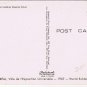 Canada Postcard RCMP Royal Canadian Mounted Police On Horse Trees