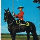 Canada Postcard RCMP Royal Canadian Mounted Police On Horse Pennant