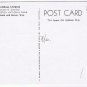 Wyoming Postcard Fringed Penstemon Sunflower Crandall Studios
