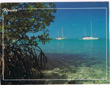 Florida Postcard Sailboats Crystal Clear Waters & White Sandy Beaches
